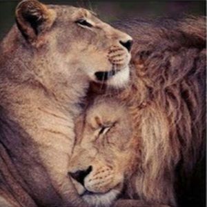 Meet your Posher, Noko